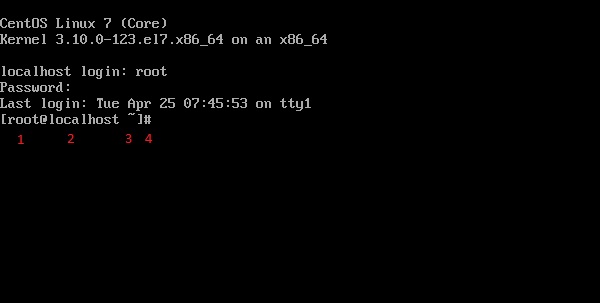Red Hat Linux Command Prompt