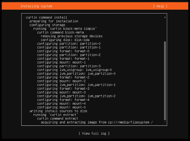 Ubuntu Server Starts Installing